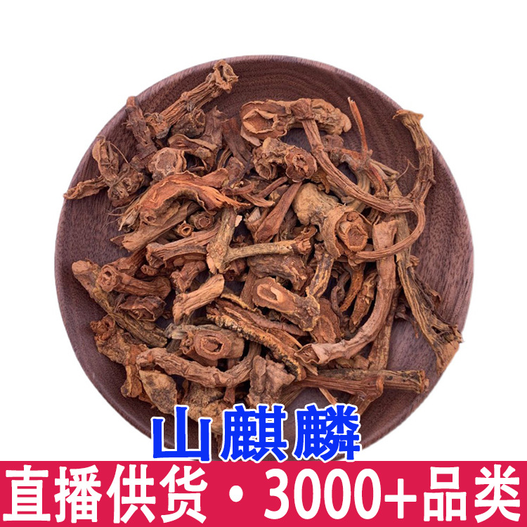 批发 山麒麟 麒麟 竭鹿角 量大从优