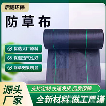 �۱�ϩ���ݲ����s�ݹ��@�����w�ݲ�����pp���ݲ����䌣��90g����