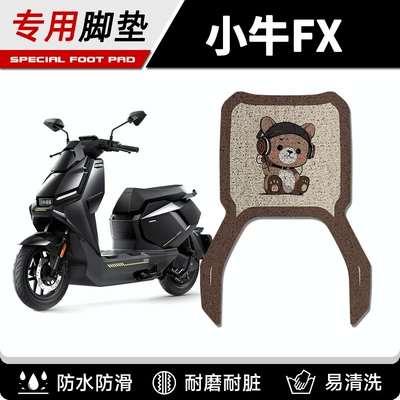 Electric vehicle foot mat — Speed Version Electric Motorcycle Fxpro