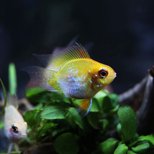 С�ͺ��m�P�����~�����������ӻ��w�Ꭷ�~�^�p�~ˮ�ݸ��~�쾰�~