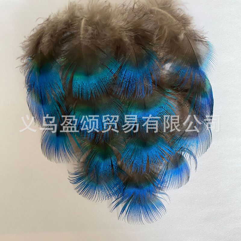 Wholesale Peacock Feather Peacock Blue Flakes Gold Flakes DIY Small Feather Decoration Clothing Accessories