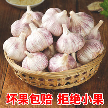 ɽ�|���l�����^����5�����r����2024�����߲����l��Ƥ10���ش��