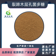 裂蹄木层孔菌多糖  裂蹄木层孔菌提取物 多规格咨询客服 1千克