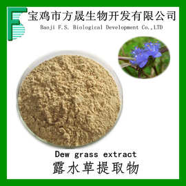 露水草提取物 浸膏粉 10-1 蛛丝毛蓝耳草提取物 可商检工厂