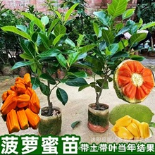 ����ľ���}�����ļ��߮a�޽�8̖12̖ӡ��t���S��ɰ����}�۹���