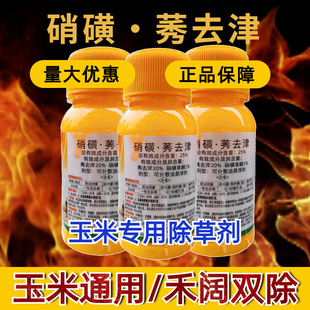 ���������݄�25%���ǲ�ͪݬȥ�����p�����]�s�ݷN�ӏS�ҹ���