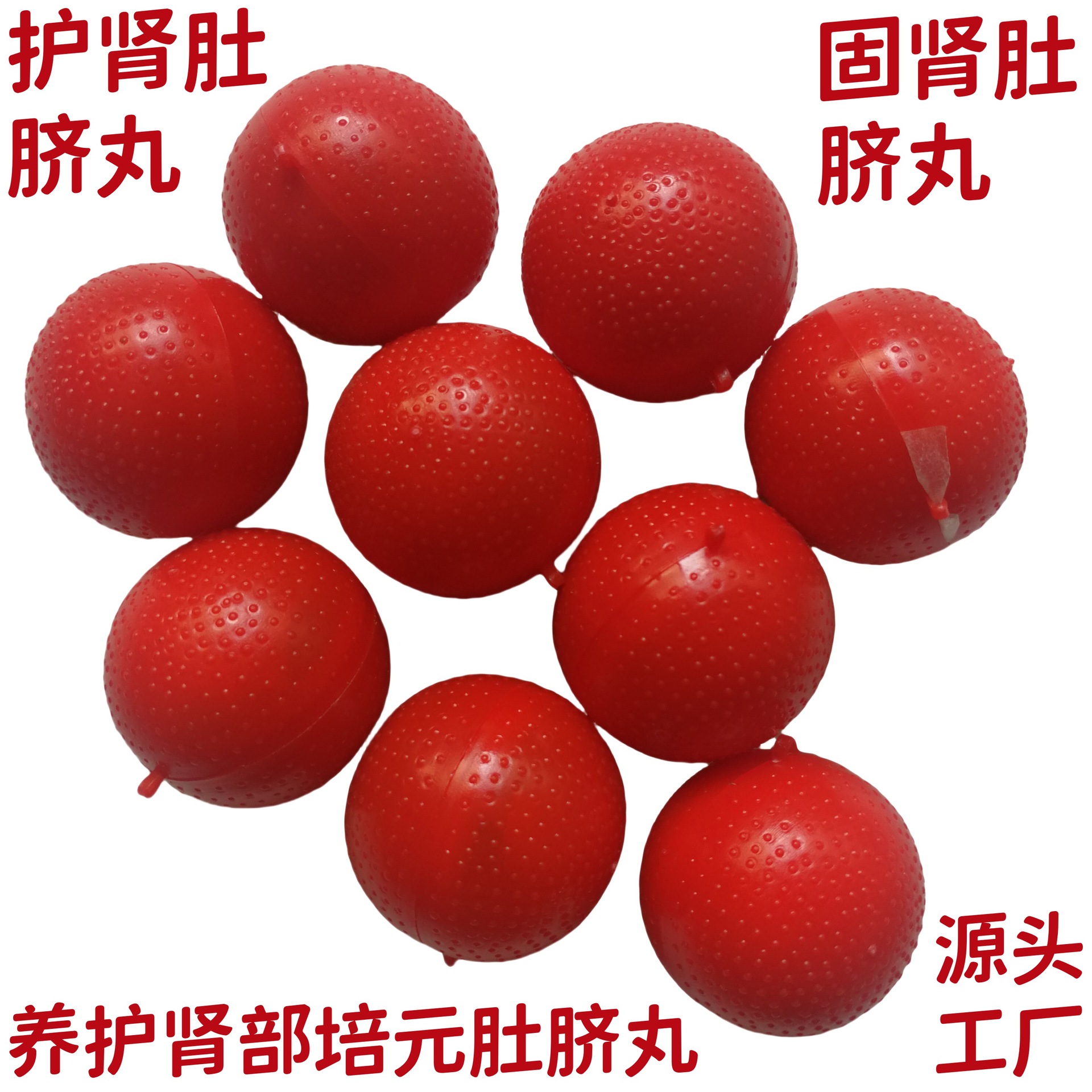 养肾丸2_副本_副本