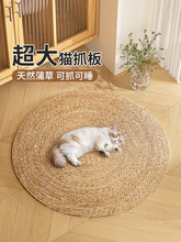 �Ѳ�؈�C؈ץ���̖����|��ĥ��ץ����м؈��ĥצ�ļ��پ�؈˯�|