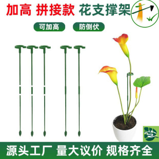 �����m����ֲ�����Ի���֧�μܶ��⻨֧�ܷ����¼�����ֲ�ﻨ��֧