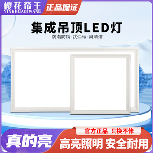 Sakura Emperor Integrated Ceiling Led Light Kitchen Bathroom Ceiling Light Aluminum Gusset Embedded Panel Flat Light