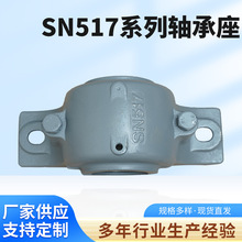 厂家供应剖分式轴承座SN517系列轴承 不锈钢轴承瓦盒立式轴承座