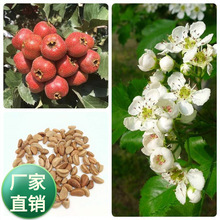 ɽ髷NļNɽtN߲ˮNlb