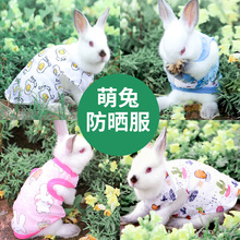 兔子宠物衣服多款夏天防晒服幼兔荷兰猪垂耳兔兔类用品装饰小饰品