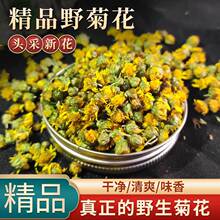 野菊花中药材5g克 黄山野生野菊花泡茶黄菊花干野菊花干野菊米