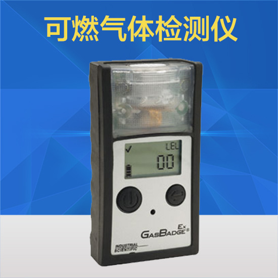 GB90(Ex)单一可燃气体检测仪 美国英思科气体检测仪