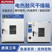 电热恒温鼓风干燥箱实验室高温小型烘干机加热烤箱工业商用亚马逊