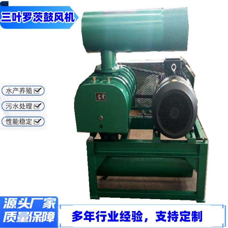 小空间配密集型罗茨风机 污水处理罗茨风机低噪音密集罗茨鼓风机