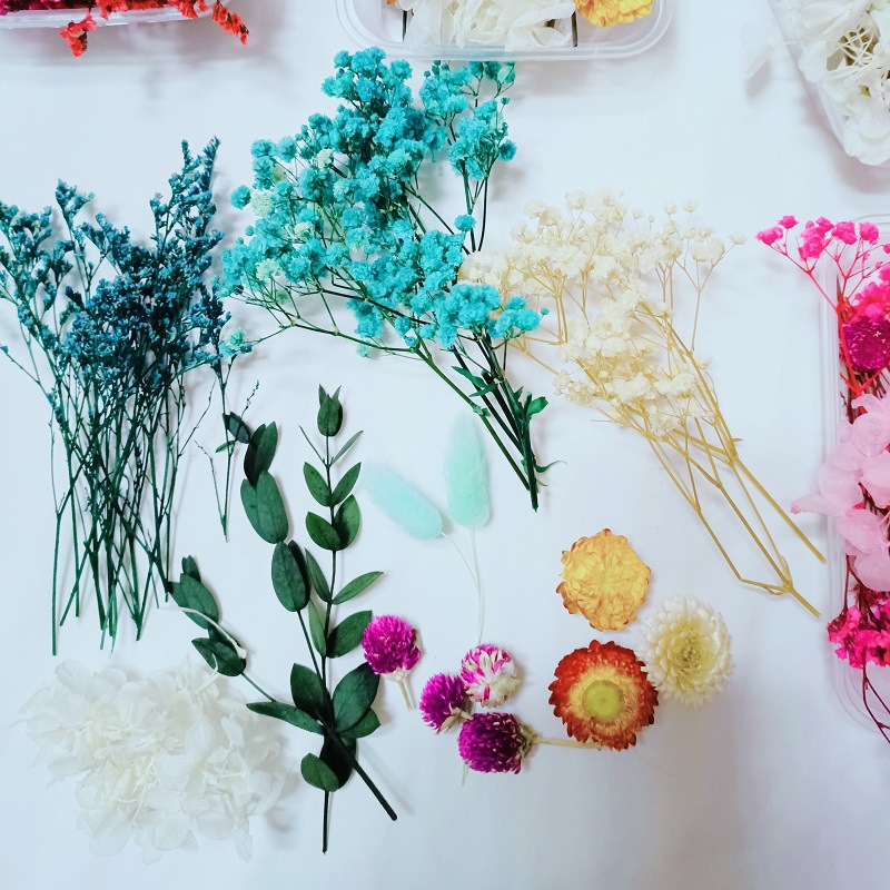 微信图片_20220819102134