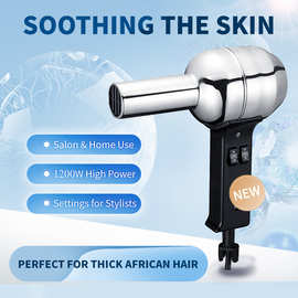 定制批发跨境吹风机1200W 铁壳经典大风力不伤发速干发廊电吹风