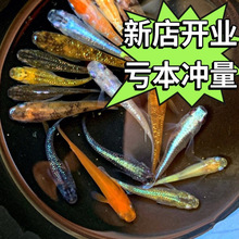 �^�����F�^�p�~ħ���~��ˮ��ˮС���\�����~���������B�׻�