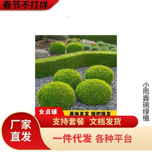 һ�����l���~Ůؑ�����ͥԺ�G�����̽��Ůؑ���Θ䳣�G��ľС�~