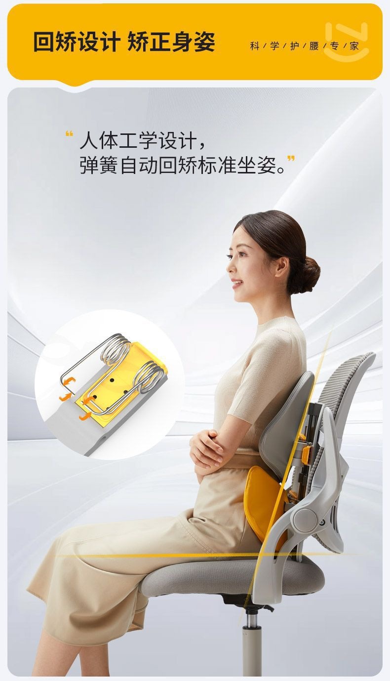 Nuo Tai Lumbar Support Cushion, Ergonomic Seat for Long Sitting, Office Chair, Car Lumbar Support, Gift