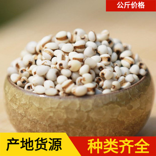 ޲����1000���A����ș ��ș�����l �F��޲���� ��؛ ����ă�