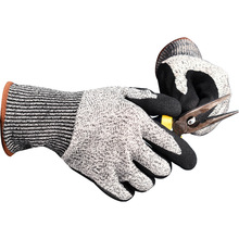 HPPElĥɰzS5и׷ĥ˺