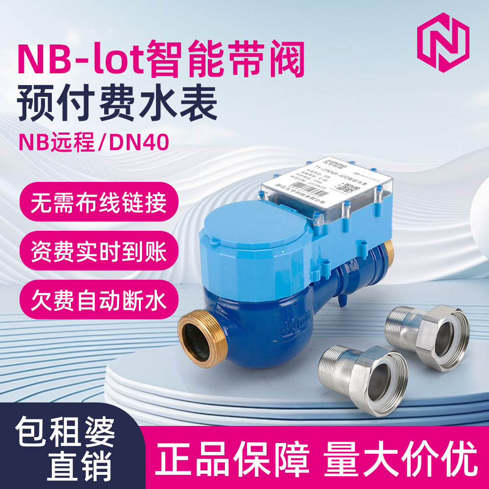 预付费水表包租婆智能水表DN40无线远程智能物联网出租房远传