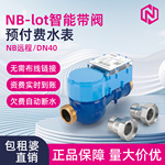 预付费水表包租婆智能水表DN40无线远程智能物联网出租房远传