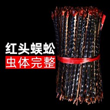 红头大蜈蚣干货吴公虫药材批发野山全虫蝎子金边水蛭粉真货好