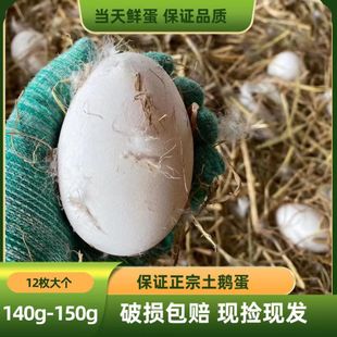 �r��ɢ�B���r���Z�����ڴ��r�Z�������ЋD���ˬF��F�l�Ɠp���r