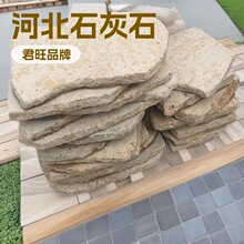 �Rķʯ̤��ʯ͡��ʯ�شu���@̤���SɫԺ���b��ʯͥԺ�bشu