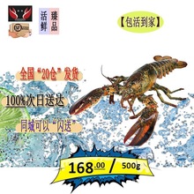 [�����]��ʿ�ٴ���Ϻ��������Ϻ�ʻ��ش�Ϻ����ˮ������˳��