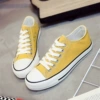 VS-A01 yellow