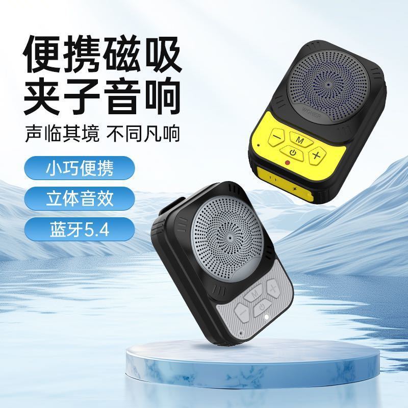 新款RGB手提麦克风蓝牙音箱户外便携双麦克风居家K歌套装无线音响|undefined