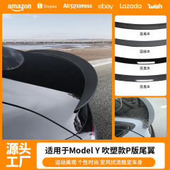 国境を越えた適用モデルy3テスラテールウィンドウ車のラベルカーボンファイバーパターンテールウィンドウPバージョン射出成形ブロー成形修正卸売