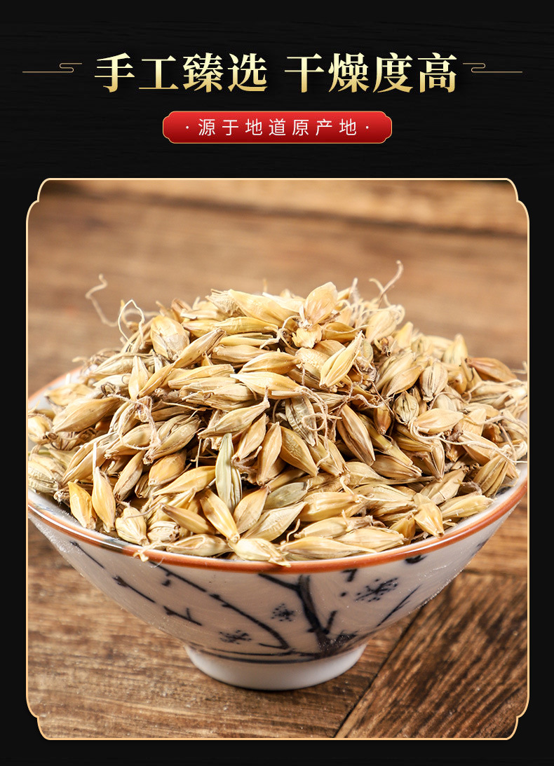 Malt (Hordeum vulgare) — Dried Food-Herb Grain for Tea, Soup & Congee quality and texture