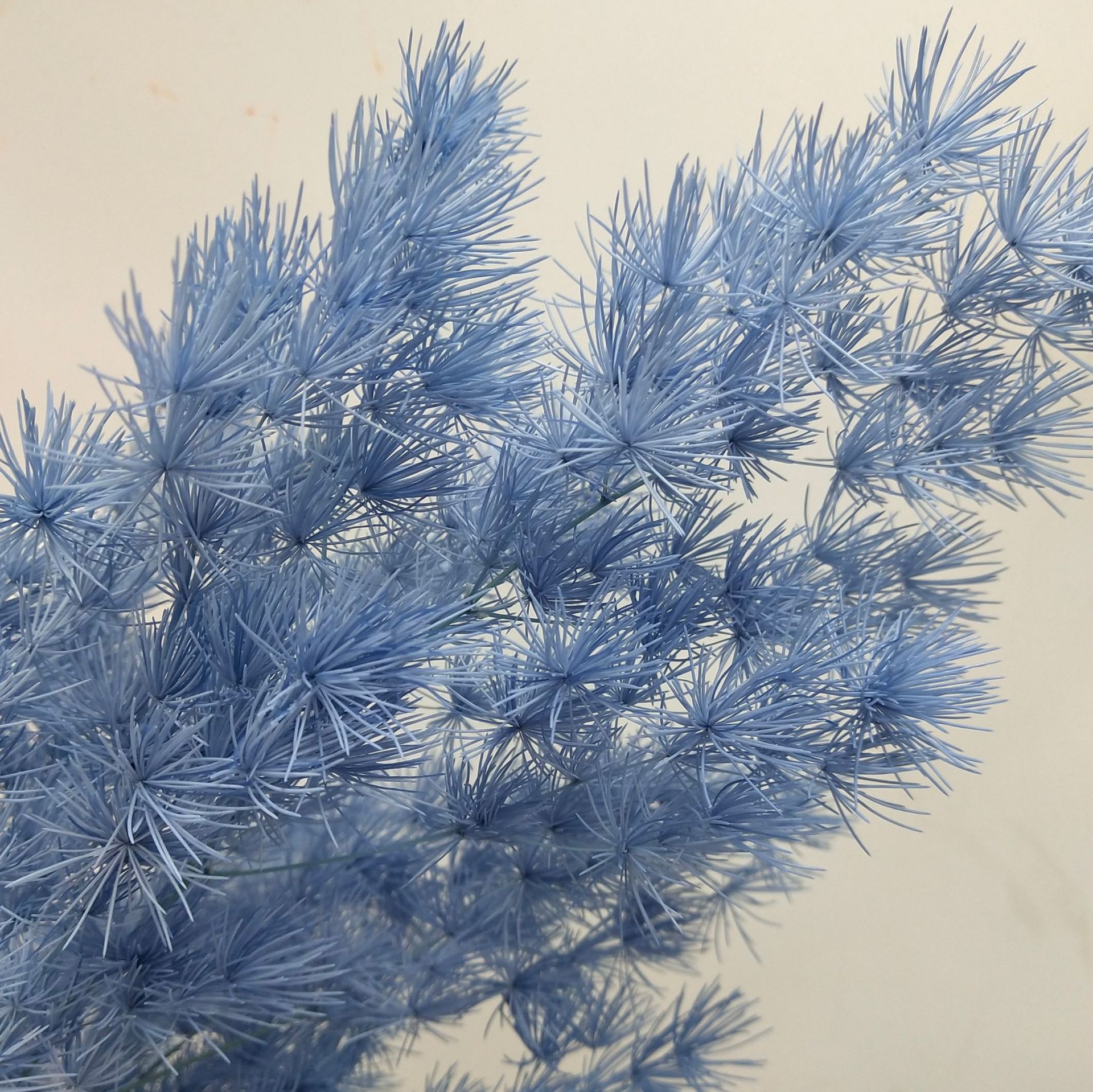 39ac92cbfef821bf31fe97cf62a111