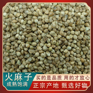 �������B�Z�����W�^�Z�����ѻ���������С�������Bʳ�����ʺ�؛��