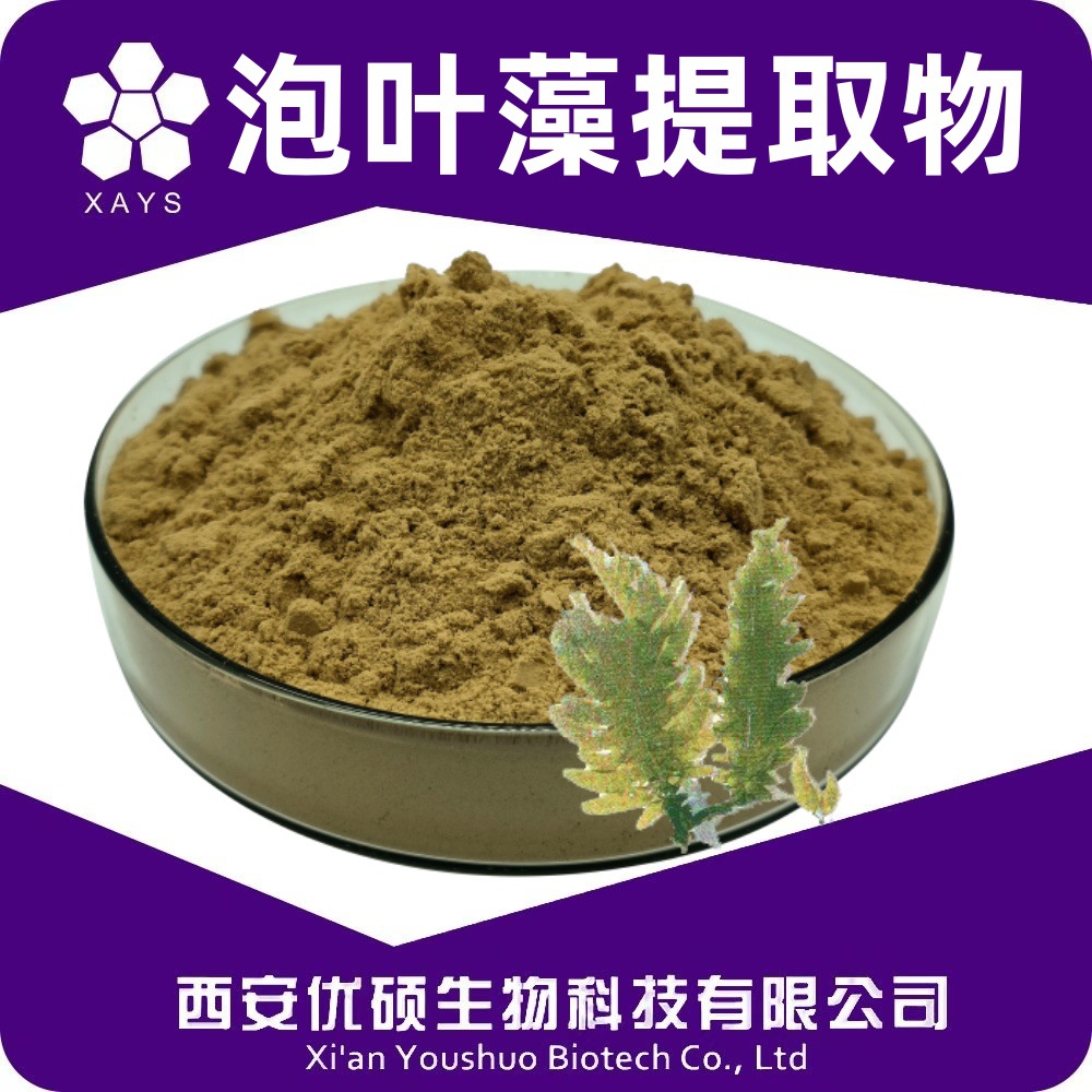 泡叶藻提取物泡叶藻粉生粉植物萃取优硕生物喷雾干燥草本法