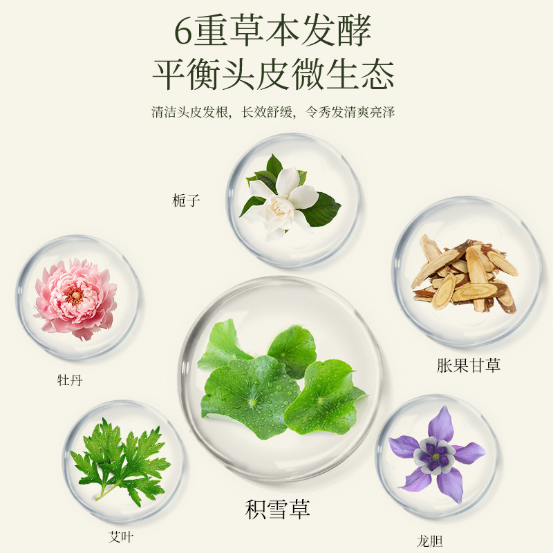OEM herbal shampoo personalizado anti-caspa control de aceite shampoo procesamiento shampoo shampoo anti-caspa anti-prurito