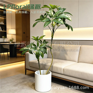 �羳���Q؛Դ���ͱ��W����Gֲ����~���� �߶�����b��쾰�[��