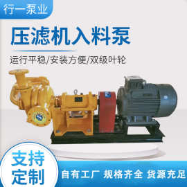 供应现货压滤机入料泵 入料加压给料专用泵 煤泥污泥处理入料泵