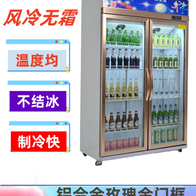 柜立式饮料柜大容量冰柜单啤酒双门冷藏展示柜保鲜柜超市商用冰箱