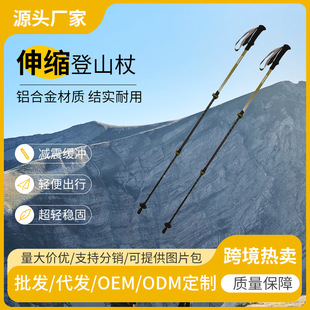 �����ɽ��̼�w�S�ȹչ���s��ɽ��̼�w�S�����ȵ�ɽ����ɽ��Ʒ