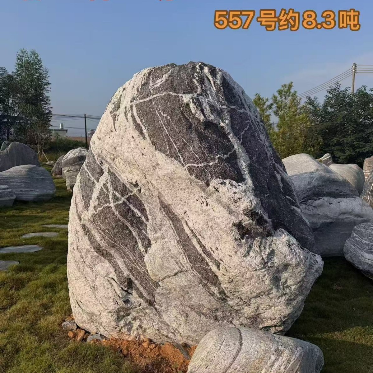 泰山石原石大型泰山石镇宅石雪浪石文化风景石校园文化石园林奇石