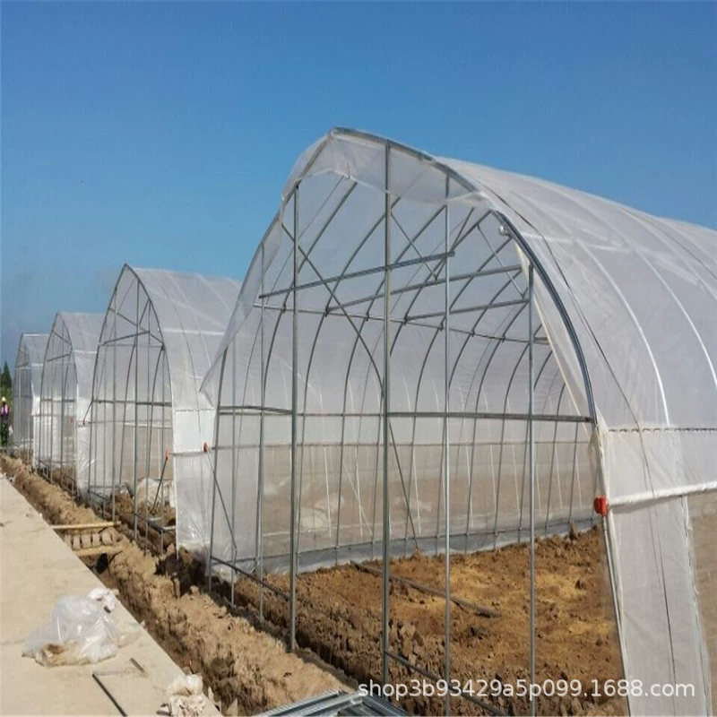 Зимний теплый дневной свет, теплица, овощная теплица, цветочная посадка, виноград, непромокаемый арбуз, дыня, клубника, съедобные бактерии