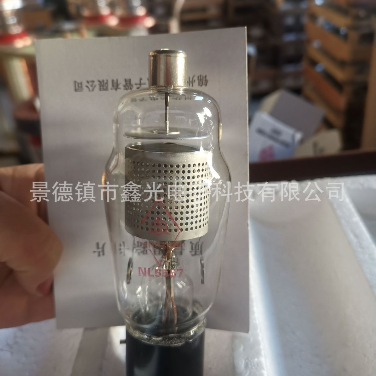 NL-5557𻨹͸¹ʸѹƵС