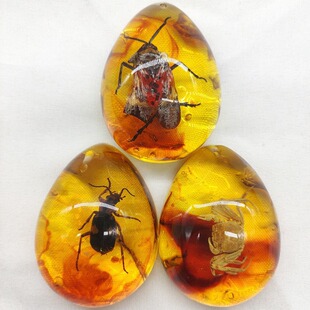 �S�����l���x����Y���˱�����ϐ��֩��֪���x��Y��ԭʯ��ͯ�ƌW